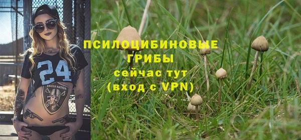 альфа пвп Козловка
