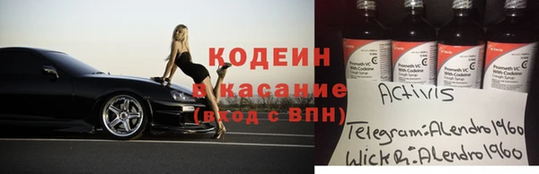 мдпв Козельск