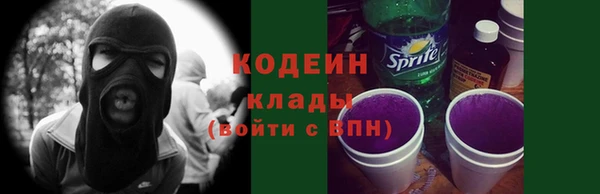 мдпв Козельск