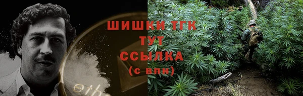 мдпв Козельск