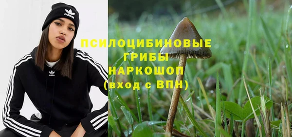 мдпв Козельск