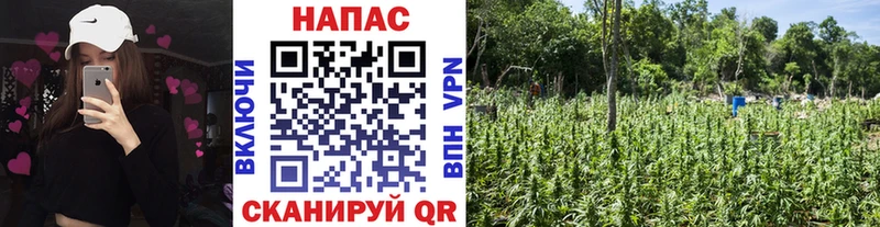 hydra ТОР  Лысково  Марихуана планчик 